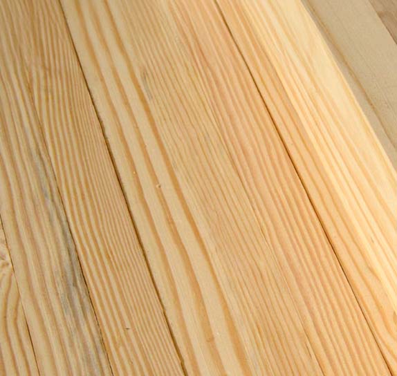 Close up of southern yellow pine